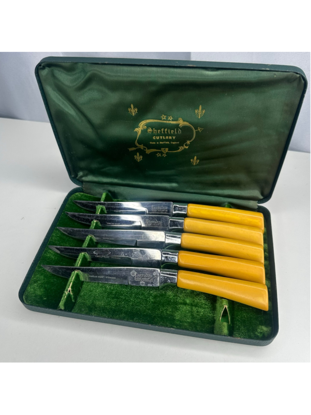 Vintage Regent Sheffield England Steak Knife Set 5 Pc Forever Sharp Case MCM